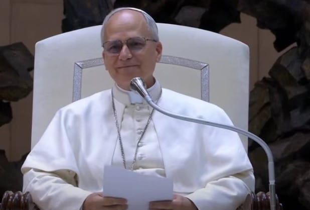 Papa Leão XIV recebe mais dois cardeais brasileiros no Vaticano