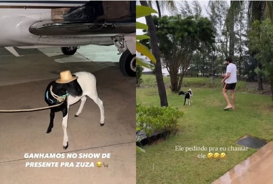 Nattan recebe presente inusitado em show e surpreende Rafa Kalimann