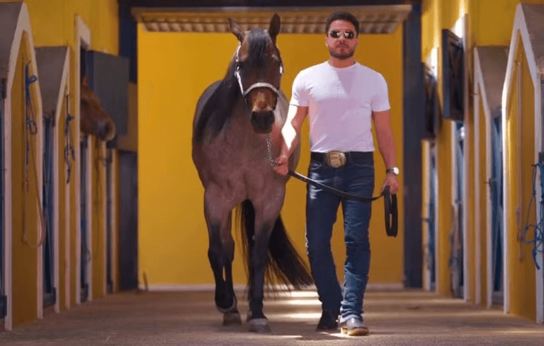 Wesley Safadão transforma paixão por cavalos em negócio Milionário