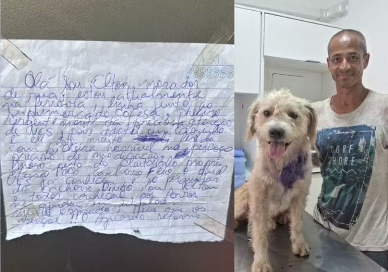 Bilhete de morador em situação de rua mobiliza ONG e garante tratamento para cão doente no interior de SP