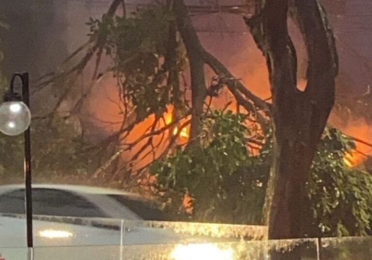 Motorista e passageiros escapam ilesos após árvore cair sobre carro e rede elétrica pegar fogo em Belo Horizonte