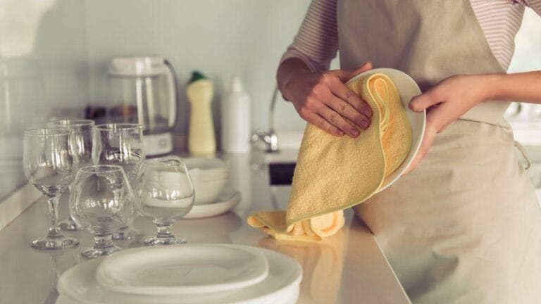 Pano de prato úmido favorece proliferação de bactérias e pode contaminar alimentos
