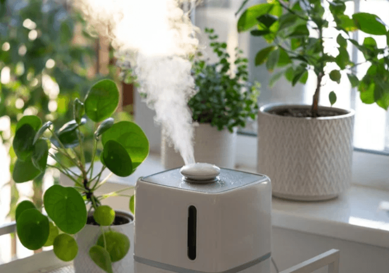 5 dicas econômicas para renovar o ar de casa e reduzir problemas respiratórios