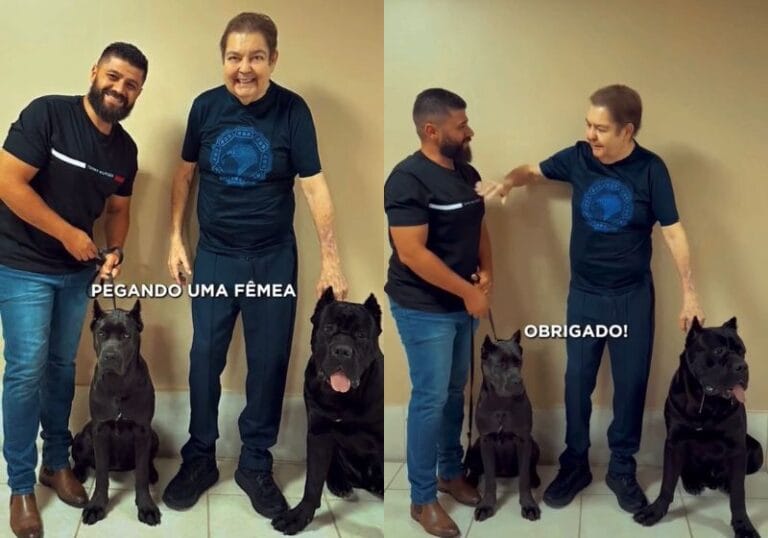 Faustão surge em vídeo sem cadeira de rodas ao receber novo filhote de Cane Corso