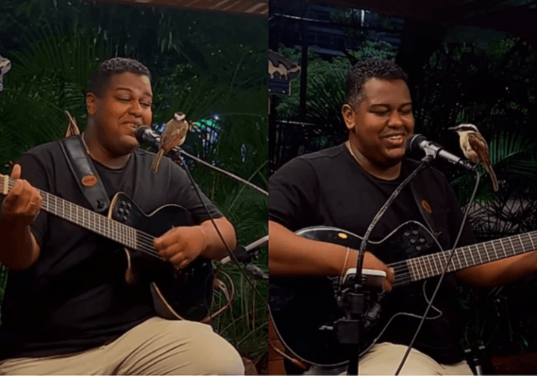 Bem-te-vi pousa em microfone e rouba a cena durante show de Gê na Lagoa Rodrigo de Freitas