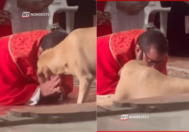 Cachorro caramelo se deita ao lado de padre durante missa na Colômbia e vídeo viraliza