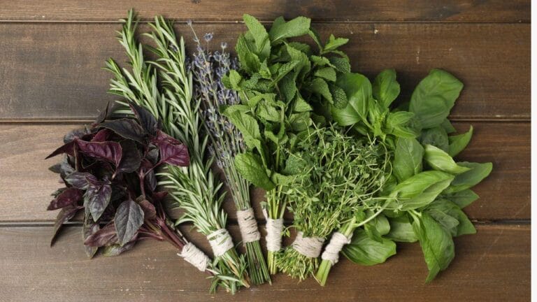 Temperos naturais ganham espaço e substituem caldos industrializados na cozinha doméstica