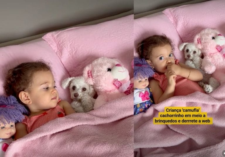 Cachorrinha finge ser bichinho de pelúcia na cama de menina e vídeo ultrapassa 100 mil curtidas
