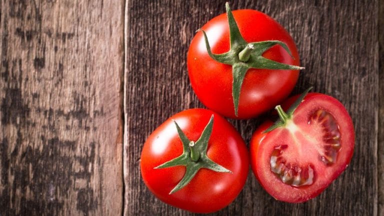 Guardar tomate na geladeira compromete sabor; saiba a forma correta de conservar