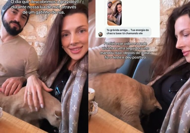 Gato de rua “prevê” gravidez de brasileira durante lua de mel na Turquia