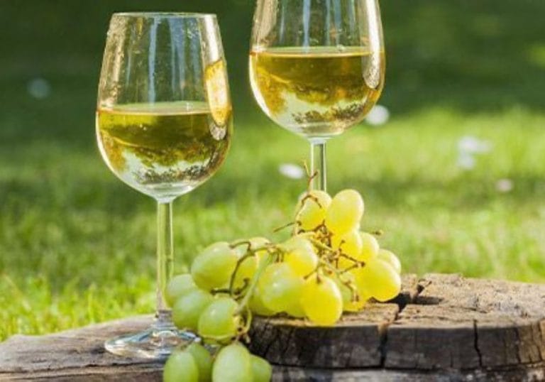 Vinhos Chardonnay do Brasil somam sete medalhas no Chardonnay du Monde 2026