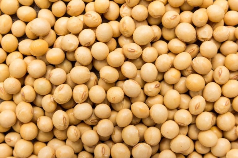 Quatro proteínas vegetais baratas ajudam a substituir a carne no cardápio