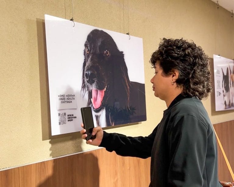 Aracaju tem exposição de fotos para incentivar adoção de pets resgatados