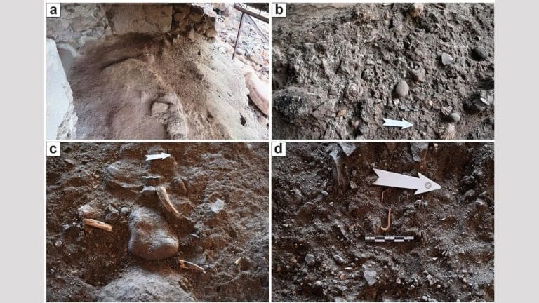 Arqueólogos descobrem pesca intensa nas Ilhas Canárias na Idade Média