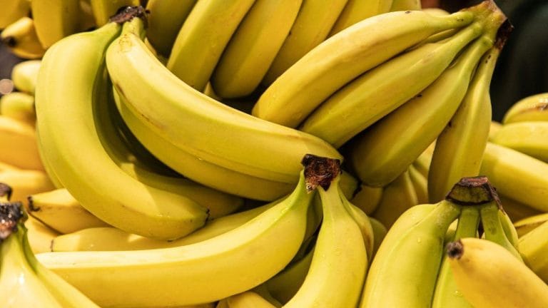 Banana madura não é lixo: veja 5 receitas para aproveitar a fruta em casa