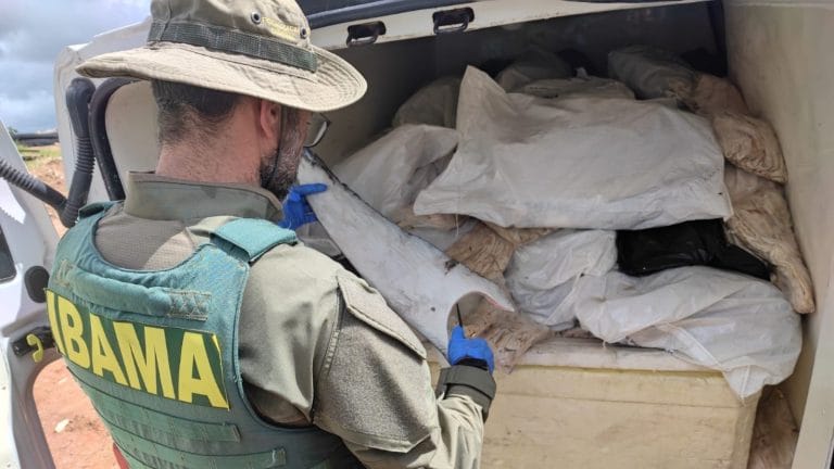 Carga de 1,6 tonelada de barbatanas de tubarão é apreendida na BR-101