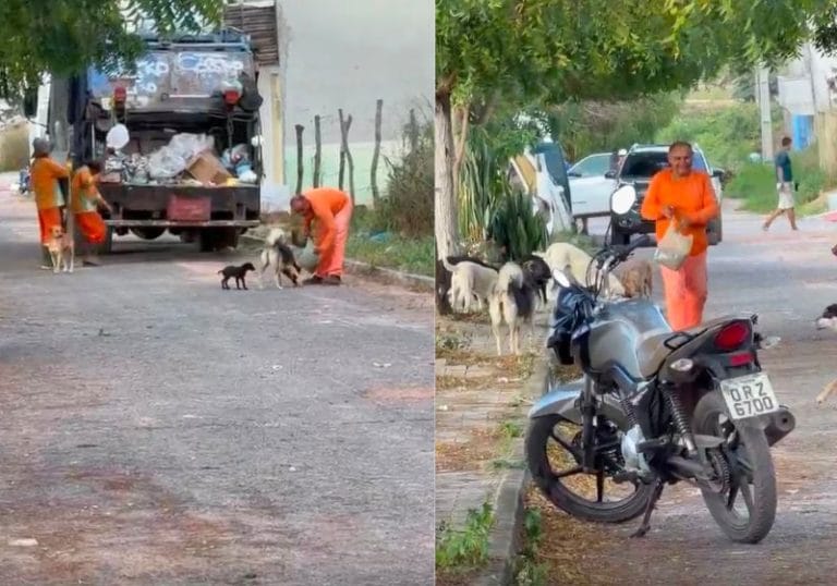 Coletor de lixo alimenta cães abandonados todo dia e viraliza nas redes