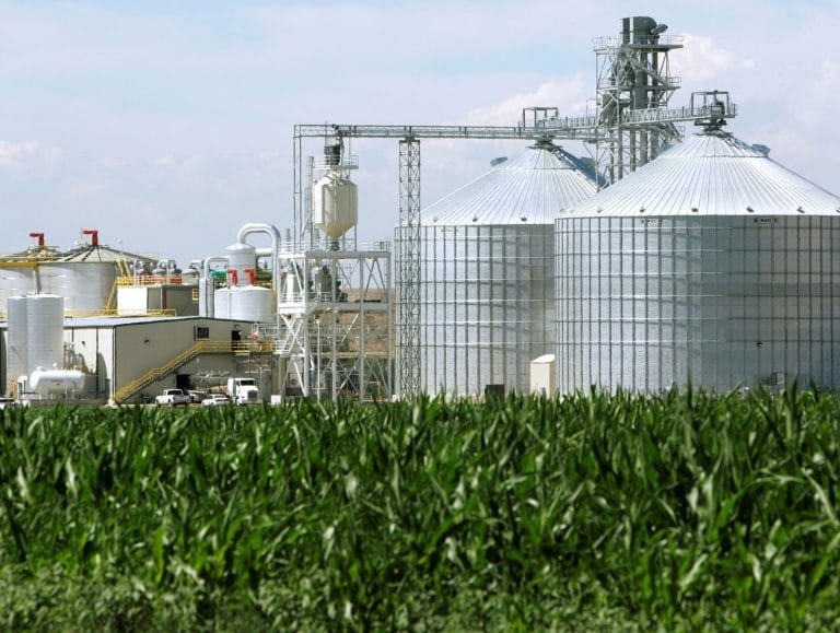 Colombiana Daabon compra Agropalma e entra no mercado de palma do Brasil