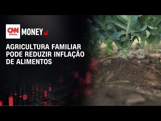 Marca nordestina lidera mercado nacional de bebidas vegetais com castanha de caju