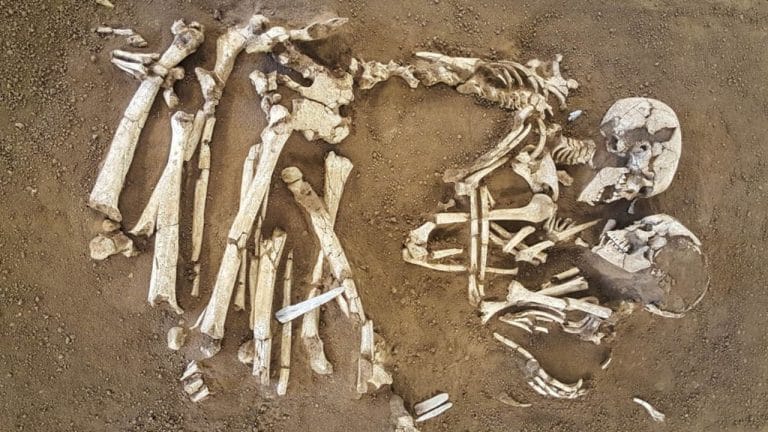 O Fascinante Encontro dos Amantes de Valdaro: Uma História Arqueológica