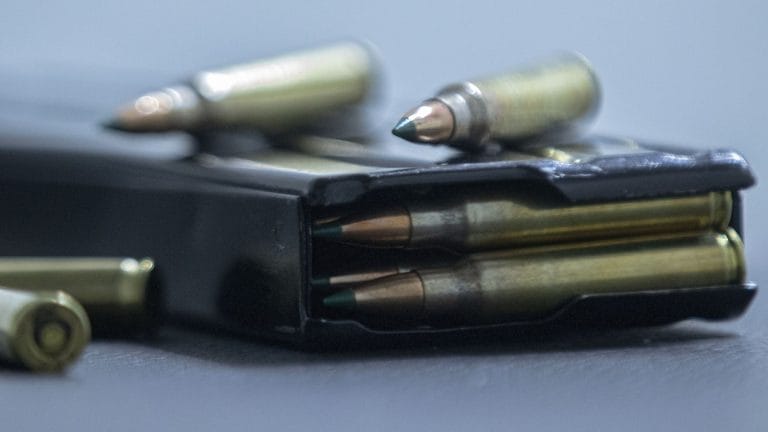 Operação prende 23 por caça ilegal e tráfico de armas no Sul do Brasil