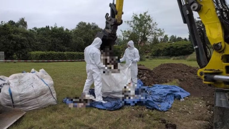 Polônia: médica é presa após polícia encontrar 34 fetos enterrados em jardim