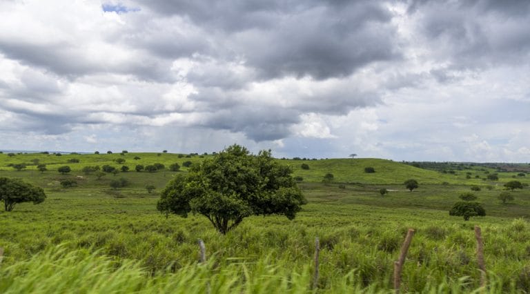 Sergipe lança sala de situação contra impactos do El Niño nesta segunda