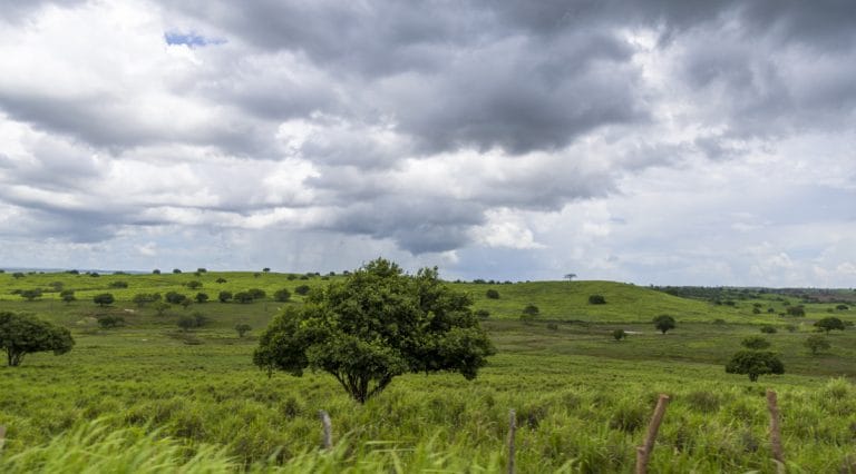 Sergipe terá semana de céu nublado e chuvas fracas no litoral e agreste