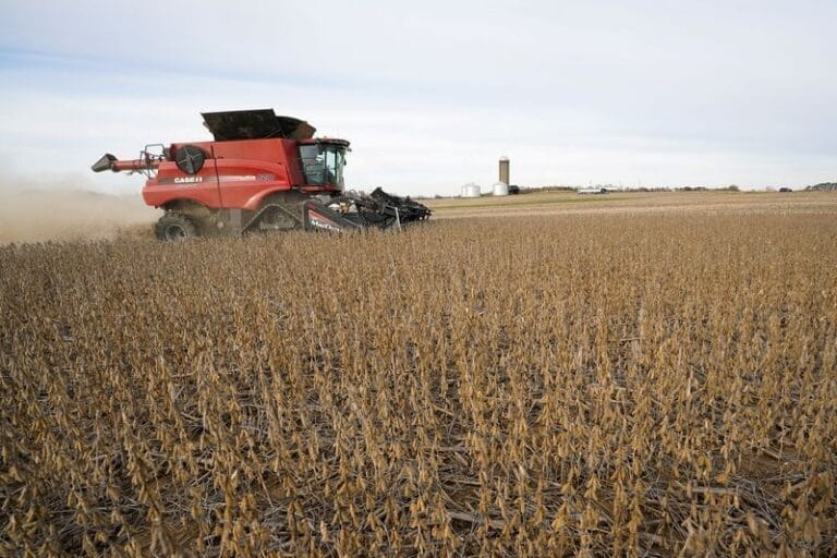 Agricultores dos EUA enfrentam perdas de até US$ 63 bilhões em 2027