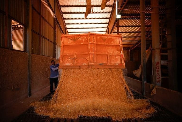 Brasil tem capacidade de armazenamento insuficiente e custos logísticos elevados