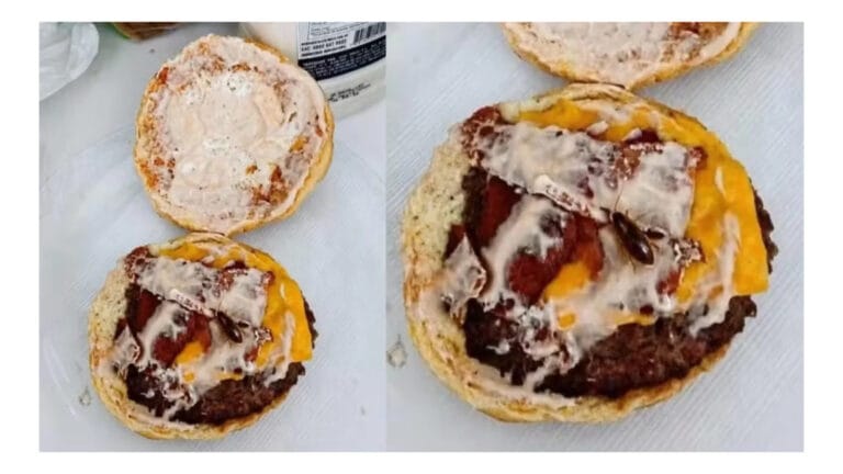 Cliente tenta enganar hamburgueria com imagem de barata criada por IA