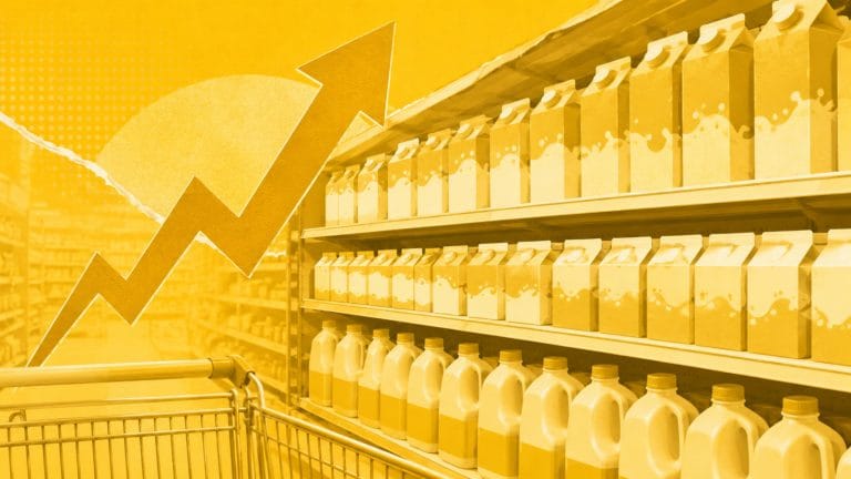 Consumo de feijão no Brasil caiu pela metade em 50 anos, revela Ibrafe