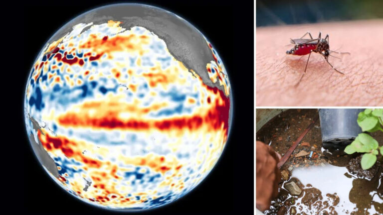 El Niño pode disparar casos de dengue e chikungunya, alerta Ministério