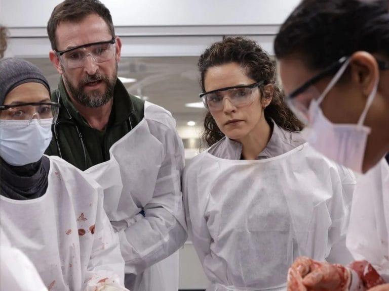 Emmy Awards 2026: Confira os indicados e os favoritos da temporada