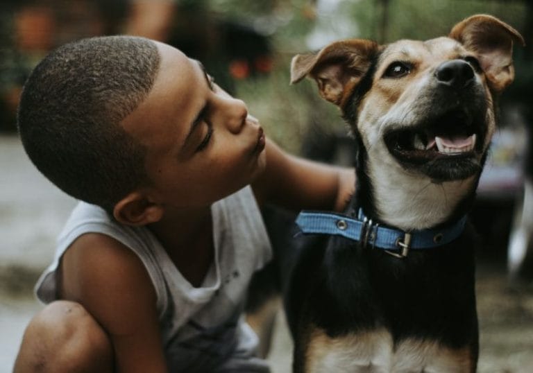 Estudo mostra que pets melhoram a saúde emocional das pessoas