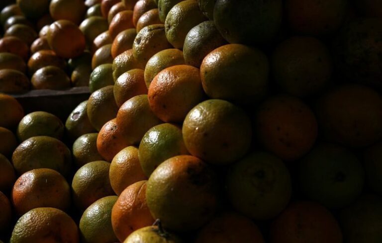 EUA isentam suco de laranja da tarifa de 12,5% e preservam exportações