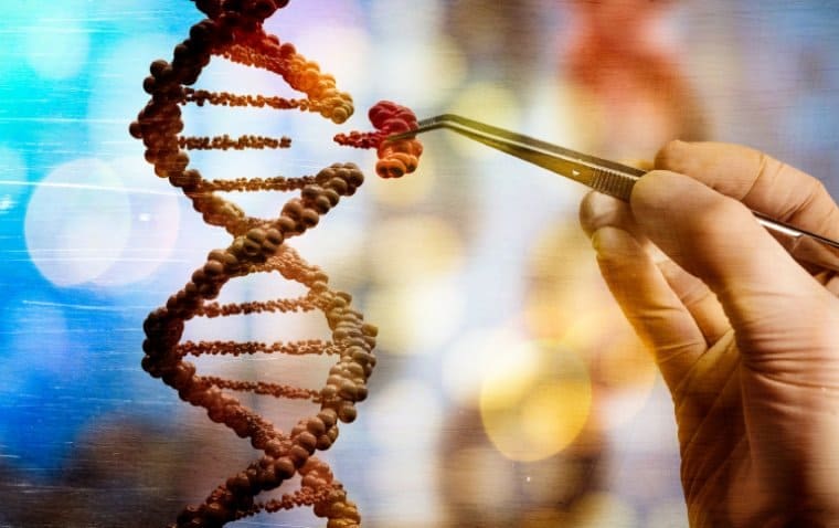 Genética modifica o futuro: avanços em saúde, agricultura e indústria