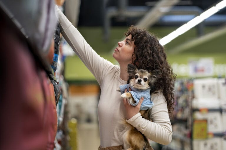 Impacto das férias escolares na rotina dos pets: cuidados e mudanças