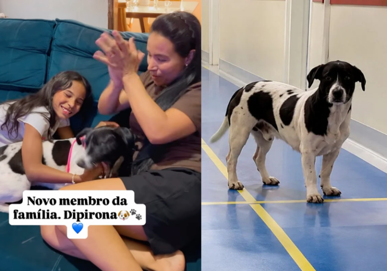 Mulher adota Dipirona após cão esperar tutor por quase 2 semanas na UPA