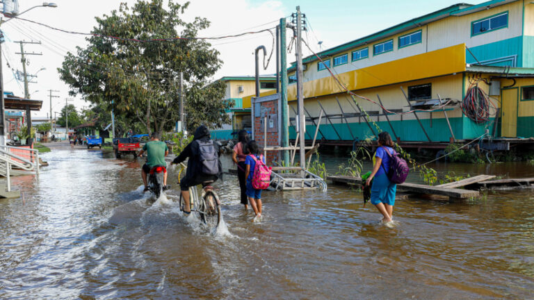 Unicef identifica Amazonas entre estados com mais alertas ambientais