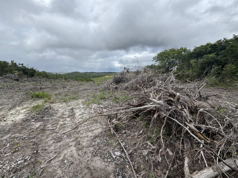 Fiscalização autua desmatamento em Sergipe e aplica R$ 638 mil
