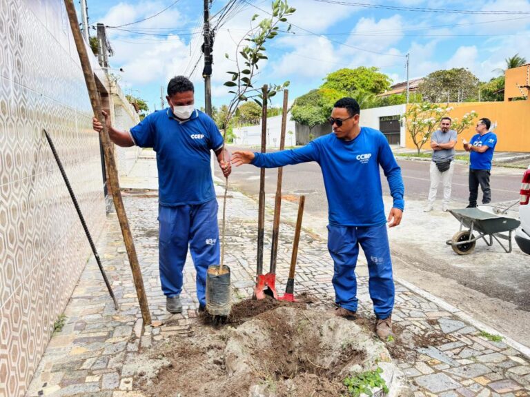 Projeto Calçada Viva planta oito mudas em calçadas do bairro Aruana