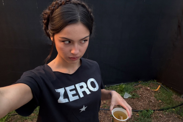 Recrie a coroa de tranças de Zendaya e Olivia Rodrigo em casa